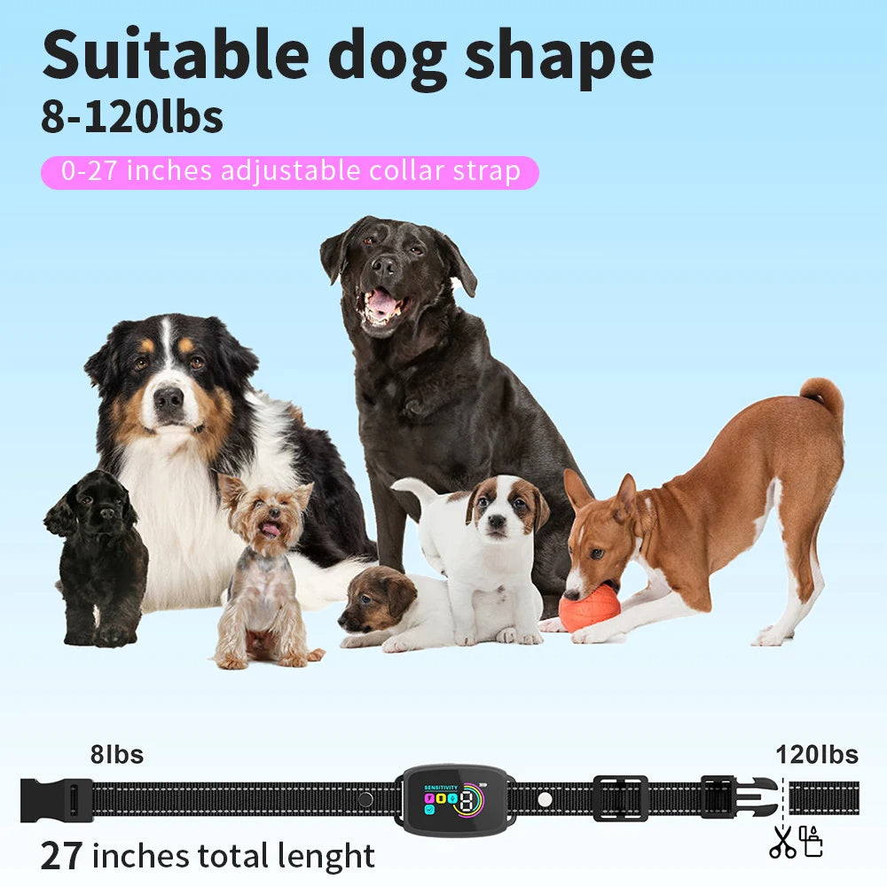 Collier Anti-Aboiement Intelligent Rechargeable pour Chien