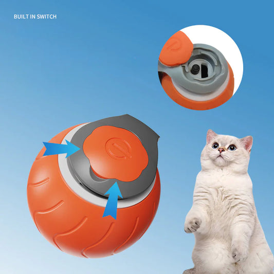 Jouet Interactif Speedy Tail pour Chats, Balle  réglable, Deux Vitesses, & Rechargeable par USB